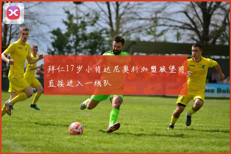 拜仁17岁小将达尼奥科加盟狼堡将直接进入一线队